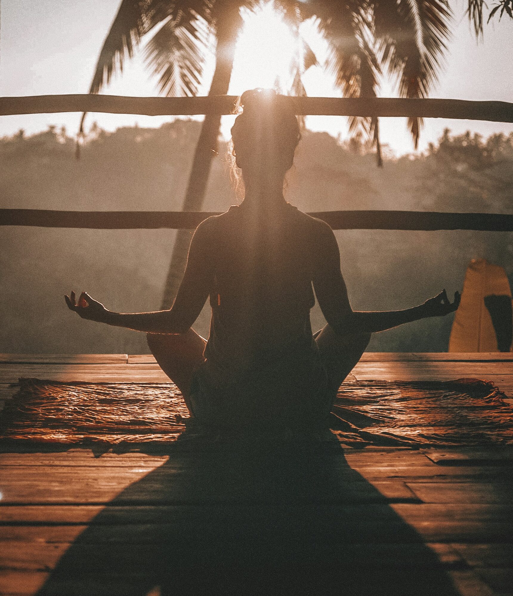 Moment de méditation et reconnexion en pleine nature